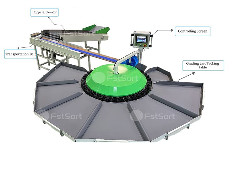 rotary sorter grader.jpg